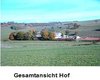 Reiterhof/-anlage in Rheinhessen-Pfalz