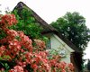 Bauernhaus in Schleswig-Holstein